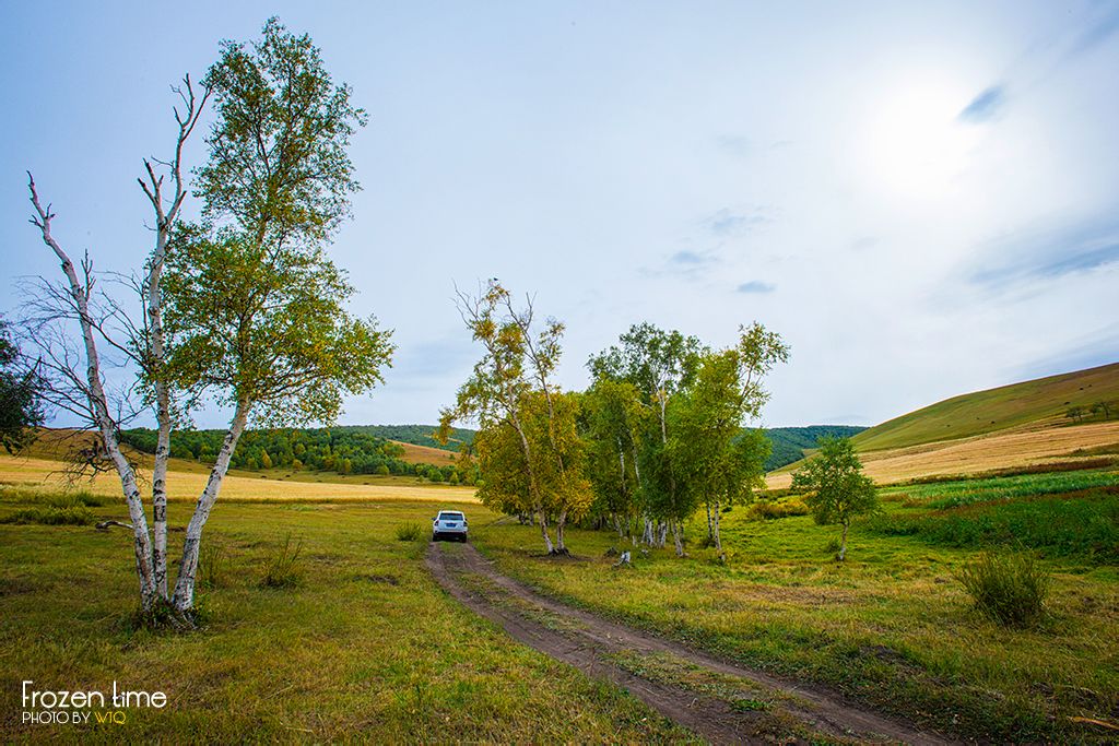{捕魚機}(坝上草原旅游最佳时间) {捕魚機}(坝上草原旅游最佳时间)