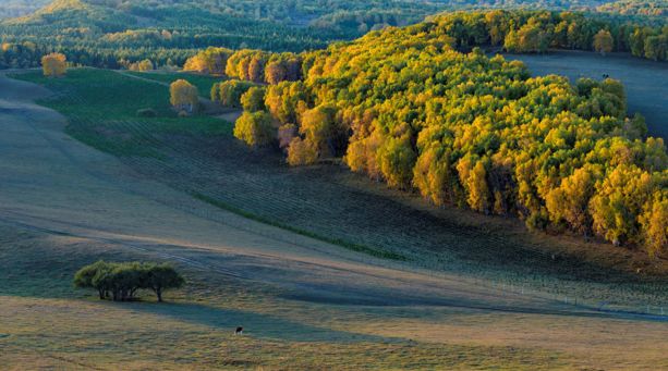 {捕魚機}(坝上草原旅游最佳时间) {捕魚機}(坝上草原旅游最佳时间)