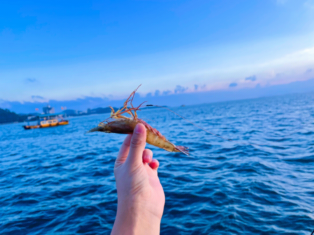 {六合彩}(巽寮湾和双月湾哪个好)